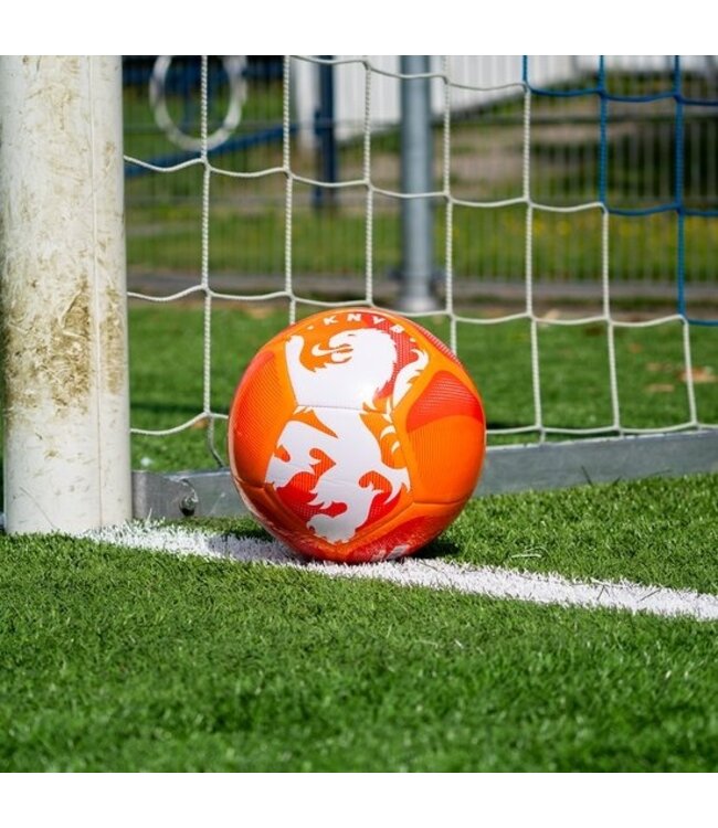 KNVB Voetbal Leeuw Maat 5