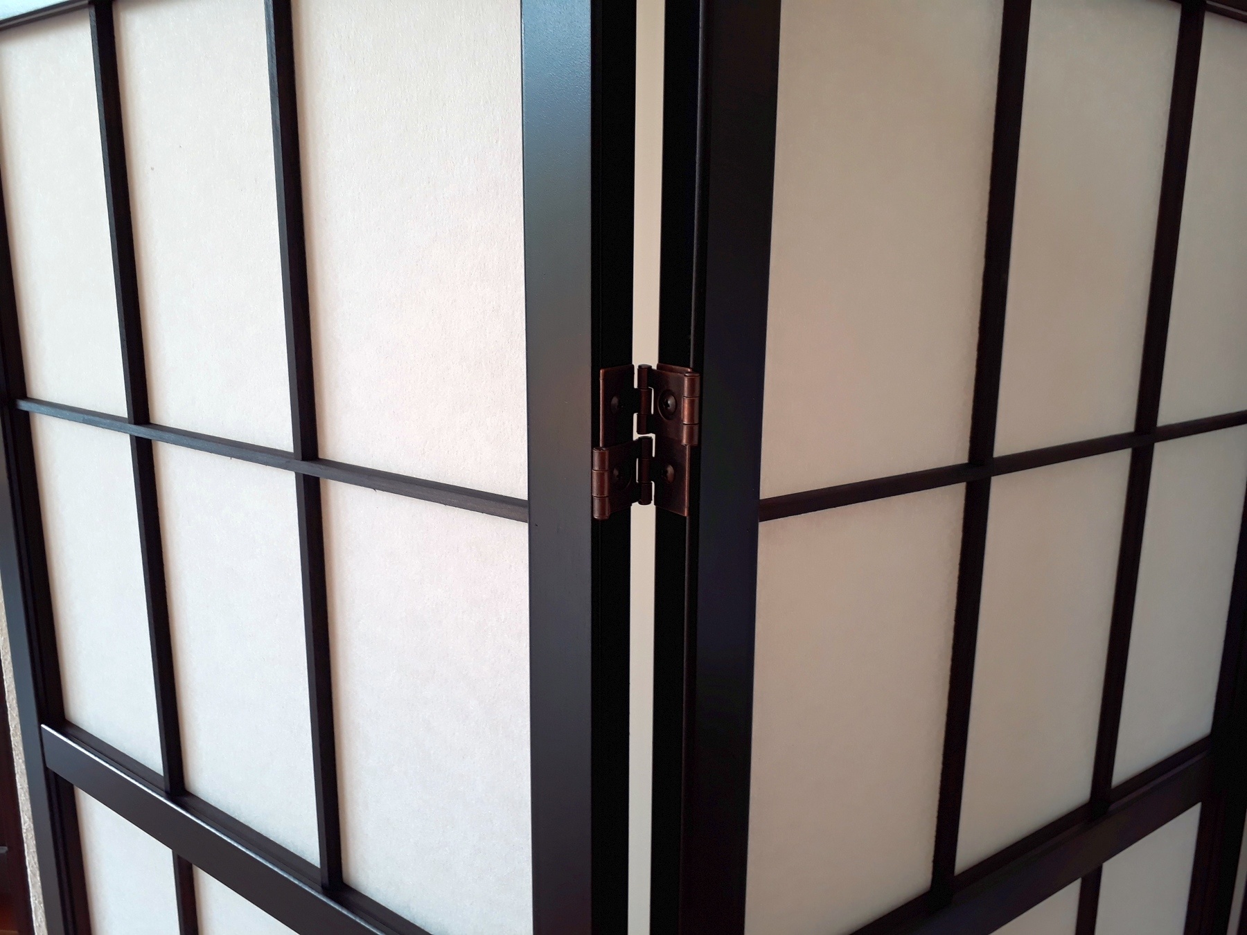 Japans Kamerscherm Laag Model