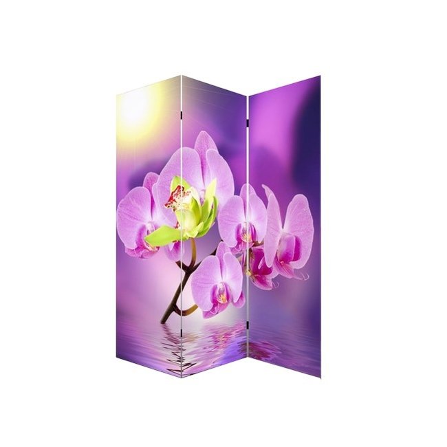 Canvas Kamerscherm Orchidee