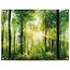 Tuinposter Zomer Bos 80x60