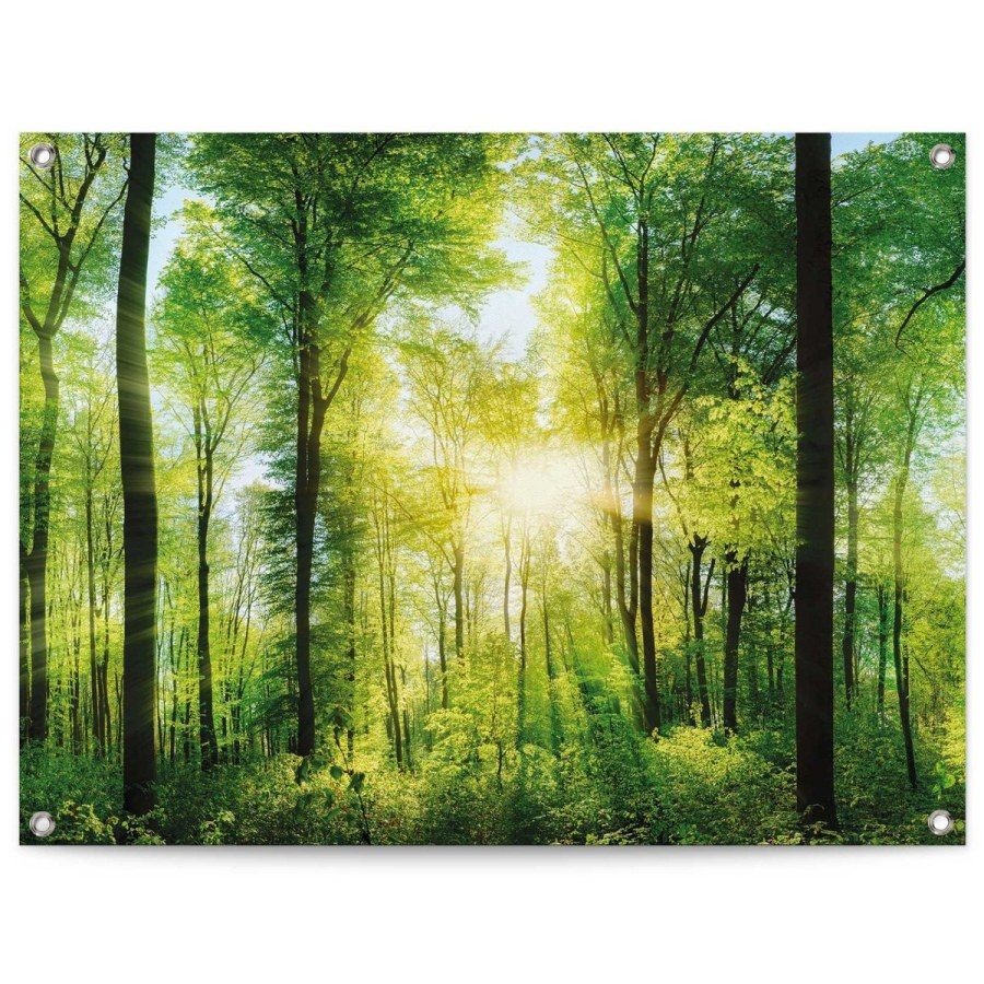 Tuindoek Zomer Bos 80x60