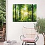 Tuinposter Zomer Bos 80x60