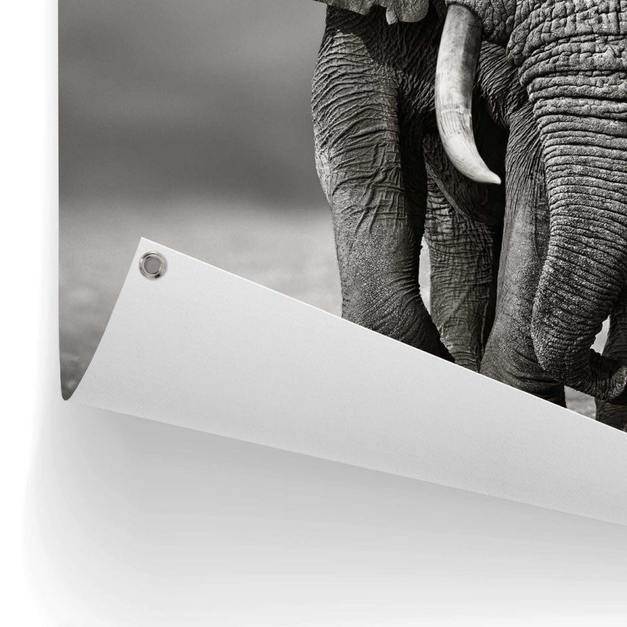 Tuindoek Olifant 60x80