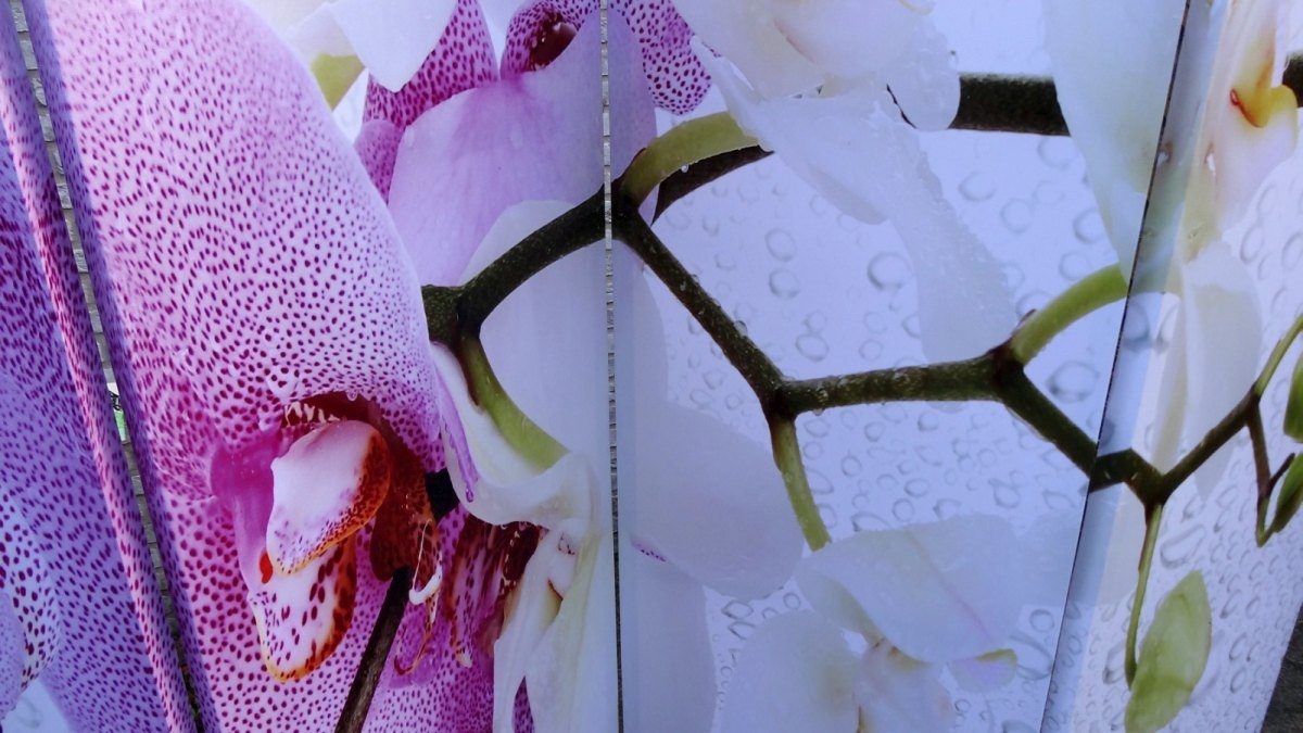 Kamerscherm Orchidee Wit 4 Panelen