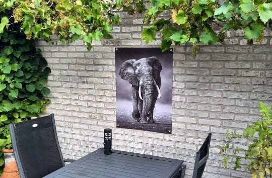 Tuindoek Tuinposter Olifant 60x80