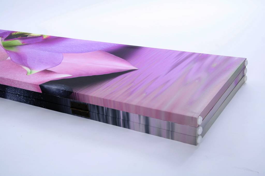 Canvas Kamerscherm Orchidee, Steen en Zee