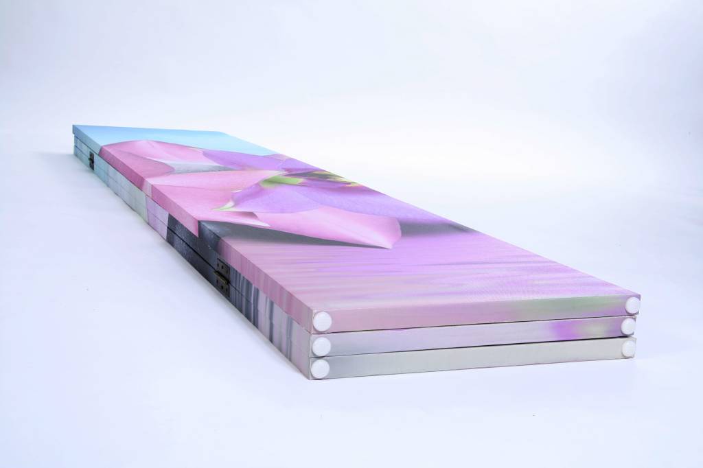 Canvas Kamerscherm Orchidee, Steen en Zee