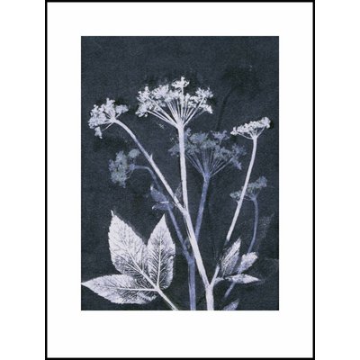 Pernille Folcarelli Pernille Folcarelli Ground elder blue print Pernille Folcarelli Pernille Folcarelli Ground elder blue print