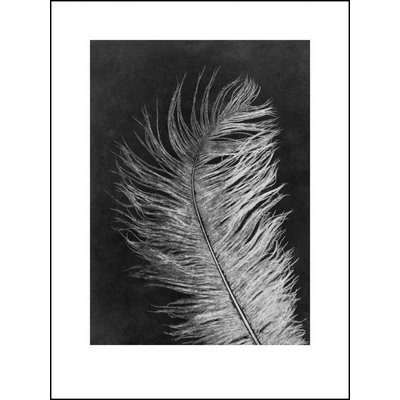 Pernille Folcarelli Feather white print Pernille Folcarelli Feather white print