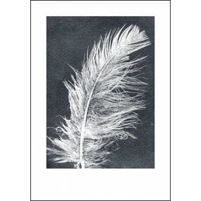 Pernille Folcarelli Feather white print