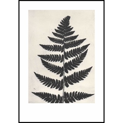 Pernille Folcarelli Fern black print Pernille Folcarelli Fern black print