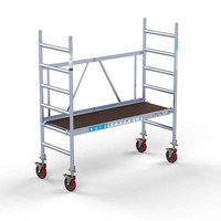 Euroscaffold Kamersteiger werkhoogte 3 meter met verstelbare wielen