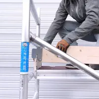 Alumexx Rolsteiger Alumexx Basic 75 x 190  x 4.20m werkhoogte met carbon platformen