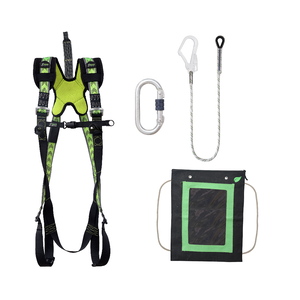 Complete set valbeveiliging Standaard Kernmantellijn met steigerhaak 1.5m met draagtas