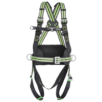 Kratos Complete set valbeveiliging met werkpositielijn en Y-leeflijn Antival- zekeringgordel Kratos Complete set valbeveiliging met werkpositielijn en Y-leeflijn Antival- zekeringgordel