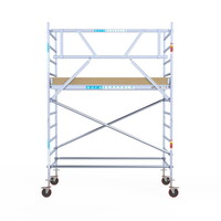 Euroscaffold ACTIE: Basis rolsteiger 135 x 250 x 4,2m werkhoogte
