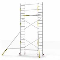 Panthera Panthera Basic geschoord rolsteiger 75x245x6,2m werkhoogte