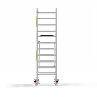 Panthera Panthera Basic met voorloopleuning rolsteiger carbon vloer 90x305x4,2m werkhoogte