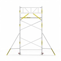 Panthera Panthera Basic met voorloopleuning rolsteiger carbon vloer 90x245x6,2m werkhoogte