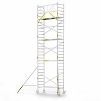 Panthera Panthera Basic met voorloopleuning rolsteiger carbon vloer 90x245x9,2m werkhoogte