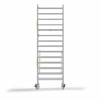 Panthera Panthera Basic met voorloopleuning rolsteiger carbon vloer 135x245x5,2m werkhoogte