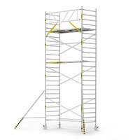 Panthera Panthera Basic met voorloopleuning rolsteiger carbon vloer 135x305x8,2m werkhoogte