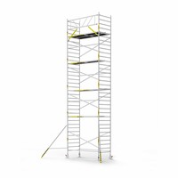 Panthera Panthera Basic met voorloopleuning rolsteiger carbon vloer 135x305x11,2m werkhoogte