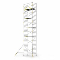 Panthera Panthera Basic met voorloopleuning rolsteiger carbon vloer 135x245x12,2m werkhoogte