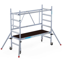 Euroscaffold Euroscaffold Kamersteiger - L190xB75cm -3.00m WH (CONFORM-ARBO)) Euroscaffold Euroscaffold Kamersteiger - L190xB75cm -3.00m WH (CONFORM-ARBO))