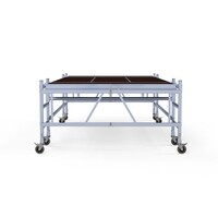 Panthera Panthera Stukadoors werkplatform laag 190x400 3m werkhoogte Panthera Panthera Stukadoors werkplatform laag 190x400 3m werkhoogte