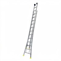 Panthera Panthera Opsteek Ladder dubbel uitgebogen 2 x 16 sporten + gevelrollen