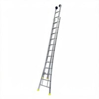 Panthera Panthera Opsteek ladder 2x16 uitgebogen geanodiseerd + toprollen