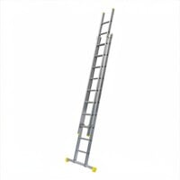 Panthera Panthera Reformladder dubbel recht 2 x 12 sporten + gevelrollen
