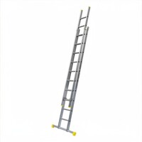 Panthera Panthera ladder dubbel recht 2 x 14 sporten + gevelrollen