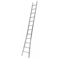 Panthera Panthera Ladder enkel uitgebogen 1 x 10 sporten