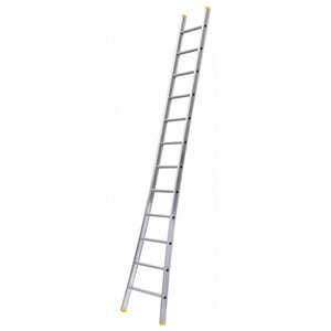 Panthera Ladder enkel uitgebogen 1 x 10 sporten