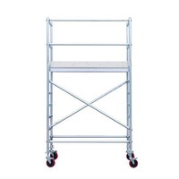 Euroscaffold Euroscaffold Budget Rolsteiger 75 x 250 x 4,2m werkhoogte