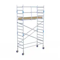 Alumexx Rolsteiger Alumexx Basic 90 x 190 x 6.20m werkhoogte met carbon platformen Alumexx Rolsteiger Alumexx Basic 90 x 190 x 6.20m werkhoogte met carbon platformen
