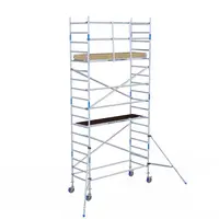 Alumexx Rolsteiger Alumexx Basic 90 x 190 x 7.20m werkhoogte met carbon platformen Alumexx Rolsteiger Alumexx Basic 90 x 190 x 7.20m werkhoogte met carbon platformen