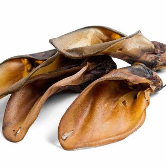 DOGODOG Oreilles de bœuf avec coquille 5 pièces