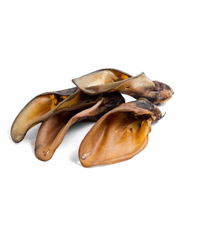 DOGODOG Beef ear with shell