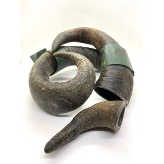 DOGODOG Büffel-Kauhorn