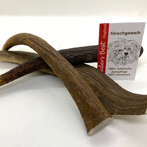 Dogodog Hirschgeweih Stücke ganz