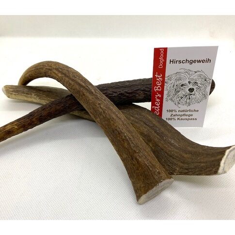 Dogodog Hirschgeweih Stücke ganz