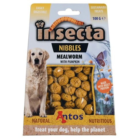 INSECTA NIBBLES MEHLWURM & KÜRBIS 100 GR