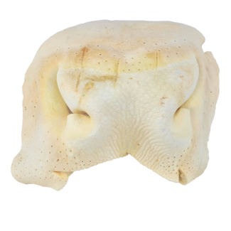 DOGODOG Nez de bœuf soufflé blanc, allégé, 2 pièces
