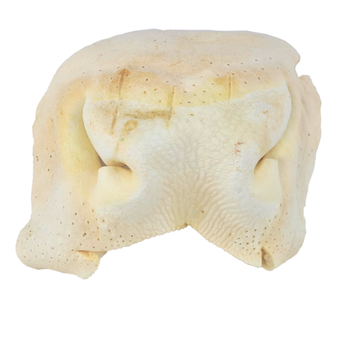 DOGODOG Nez de bœuf soufflé blanc, allégé, 2 pièces