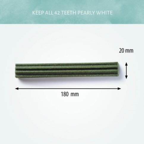 CEREA EUROSTAR MEDIUM 18 CM