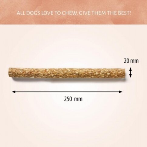 Antos CRUNCHY MUNCHY STICKS 10" 20 MM NATUR