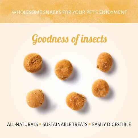 Antos Insecta Nibbles Schwarze Soldatenfliege & Apfel 100 gr